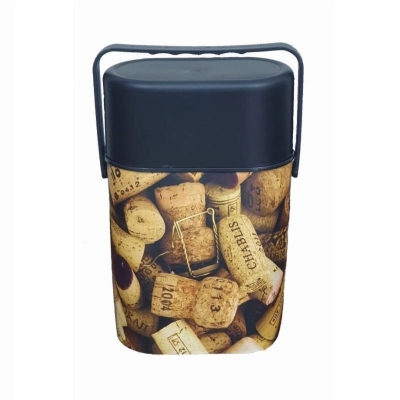 COOLER TÉRMICO 35X22X12CM PA18017 ANABELL