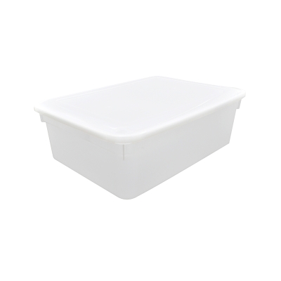 CAIXA ORGANIZADORA COM TAMPA PLEION 10L 316 38.2X27.6X12.8CM